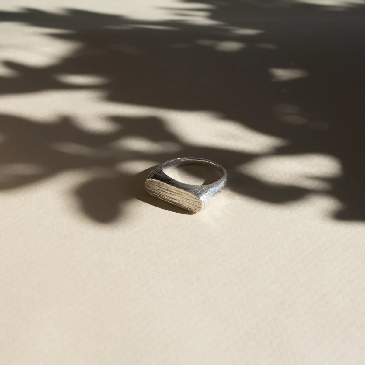 Cliff Anel - Image 2