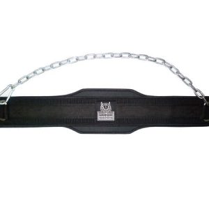 Cinto para Fundos(Dips), elevações na barra(Pullups)